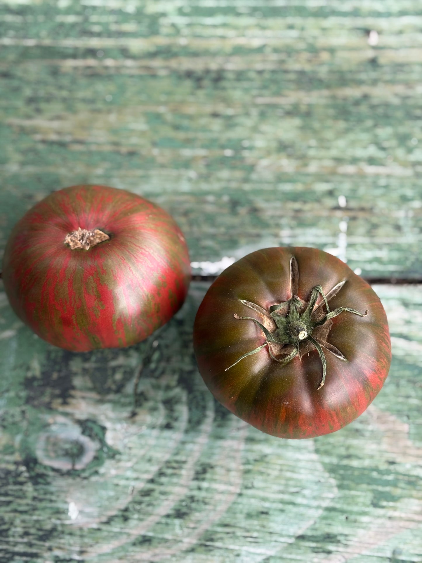 Pink Berkeley Tye Dye Tomato Seed