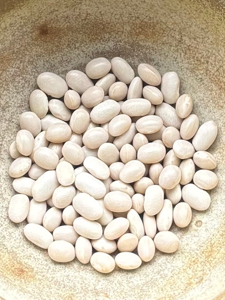 Mother in Law Dwarf Bean: Heritage Seed