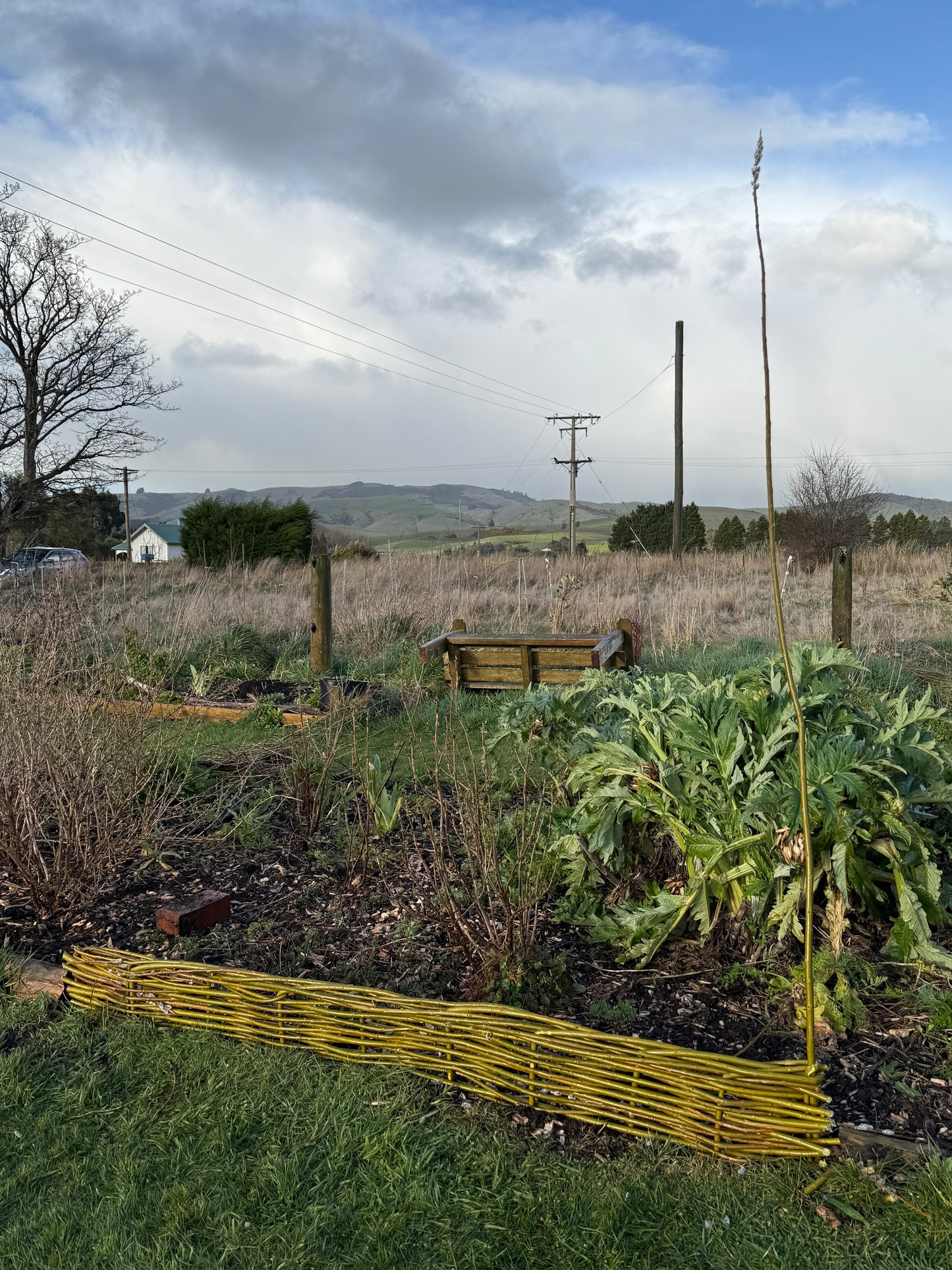 Willow Workshop: Willow Edging