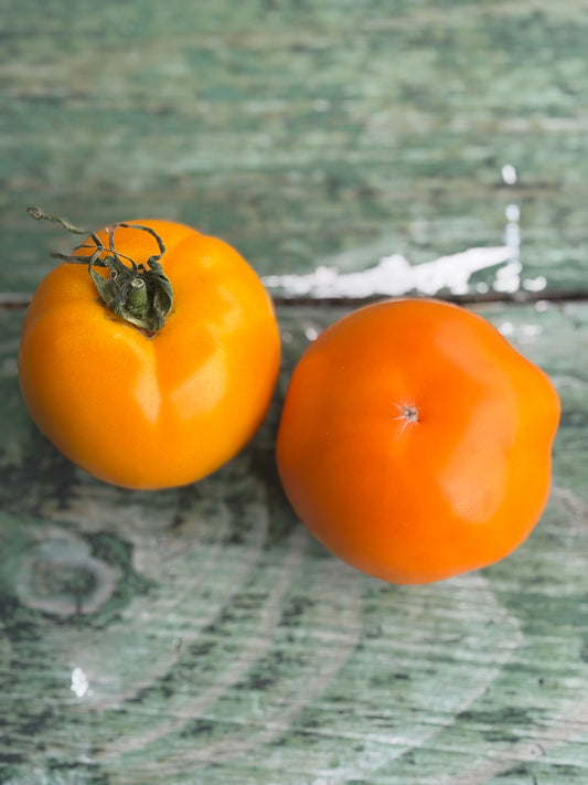 Moonglow Tomato Seed