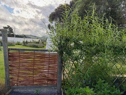 Willow Workshop: Willow fencing