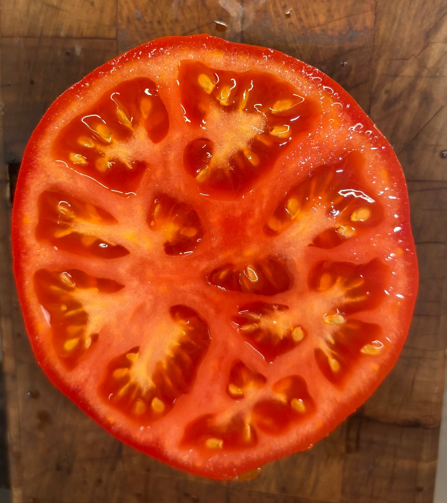 Taupo Tomato Seed
