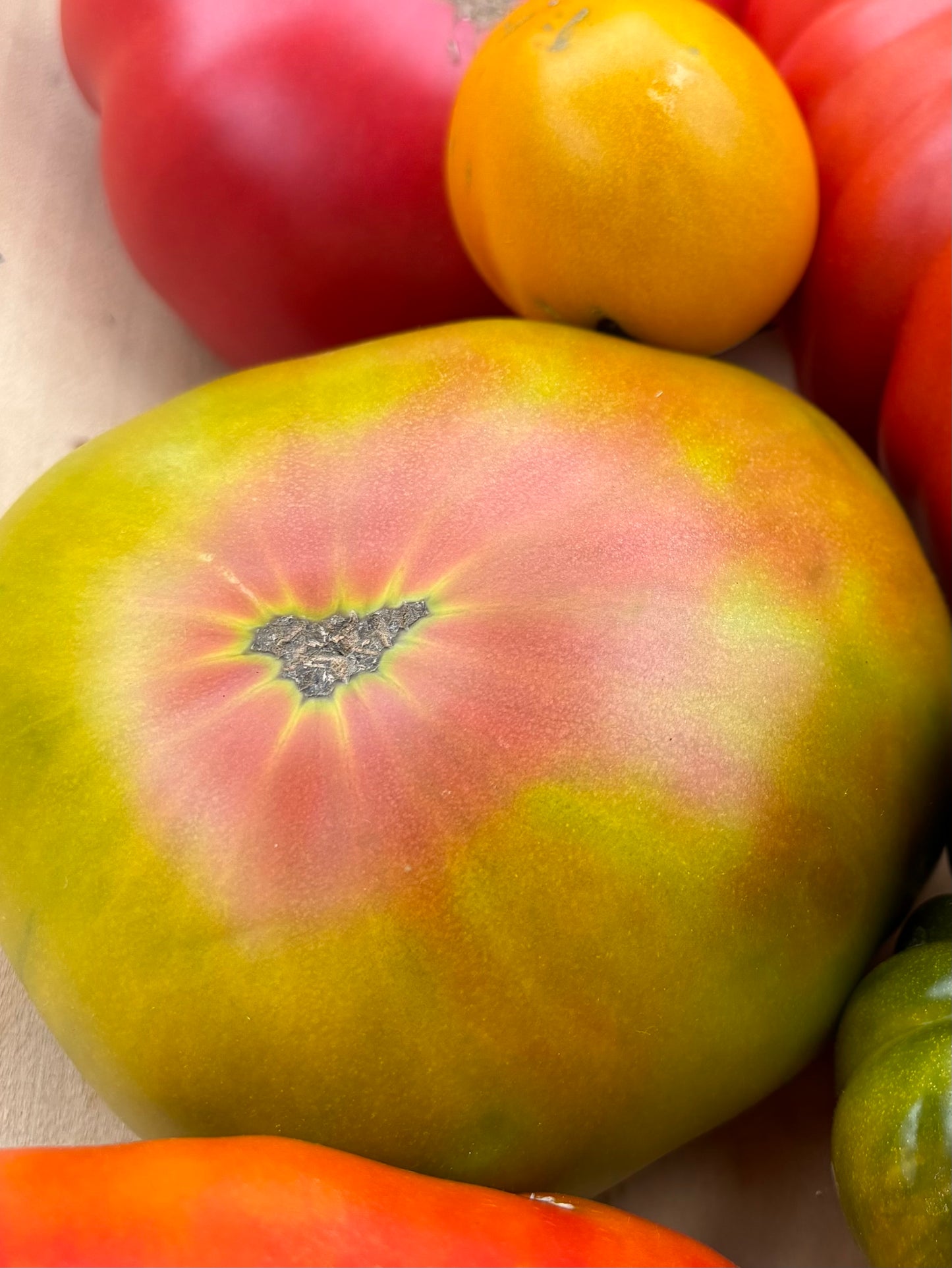 Aunt Ruby’s German Green Tomato Seed