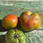 Aunt Ruby’s German Green Tomato Seed