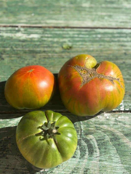 Aunt Ruby’s German Green Tomato Seed