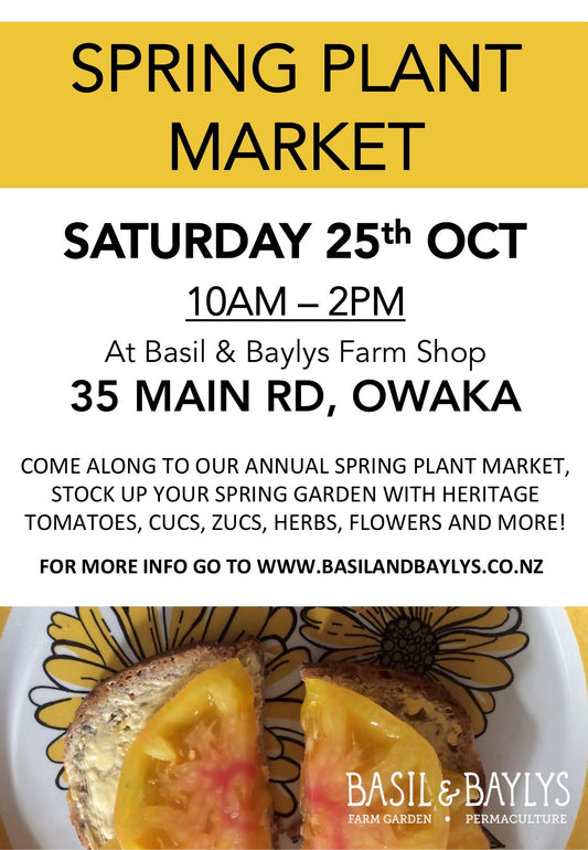 Spring Plant Market