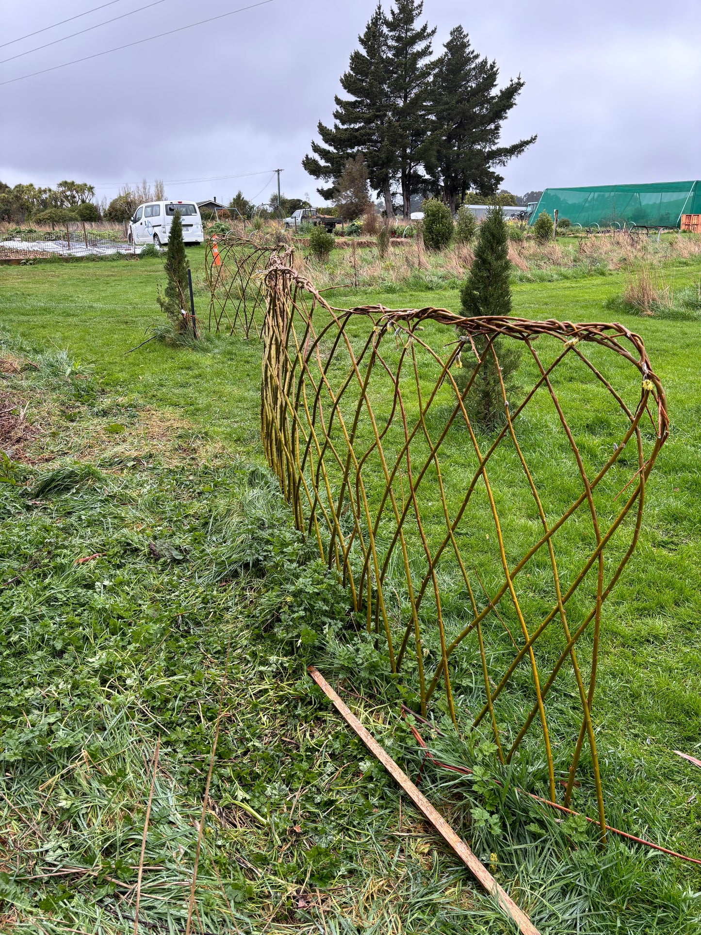 Willow Workshop: Willow fencing