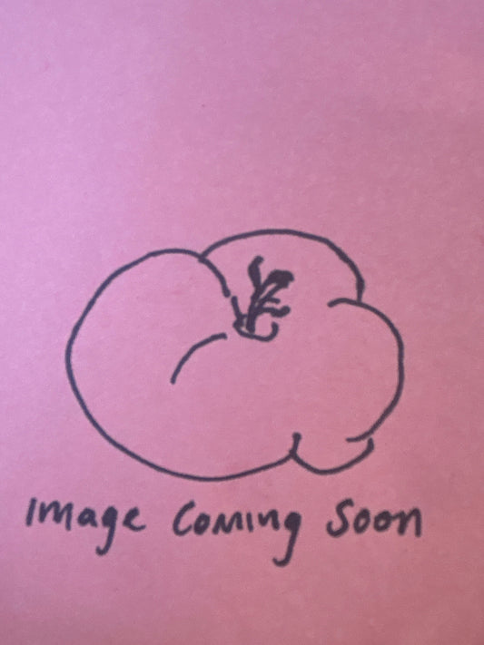Copia Tomato Seed