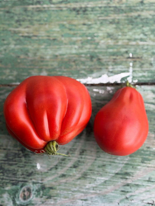 Large Red Pear Tomato Seed