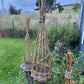 Willow Bird-feeder