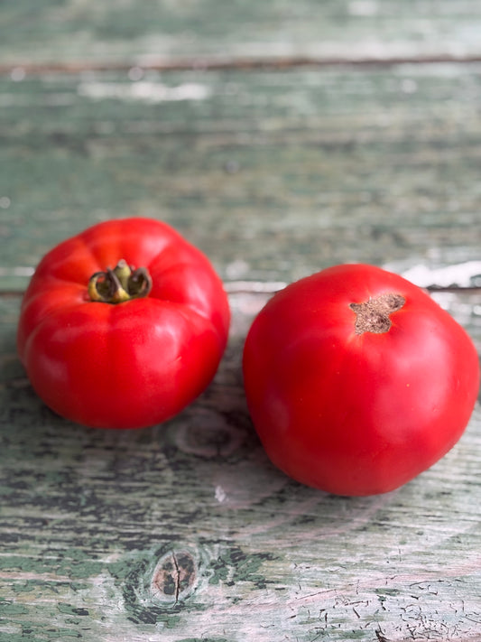 Taupo Tomato Seed