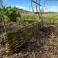 Willow Workshop: Willow Edging