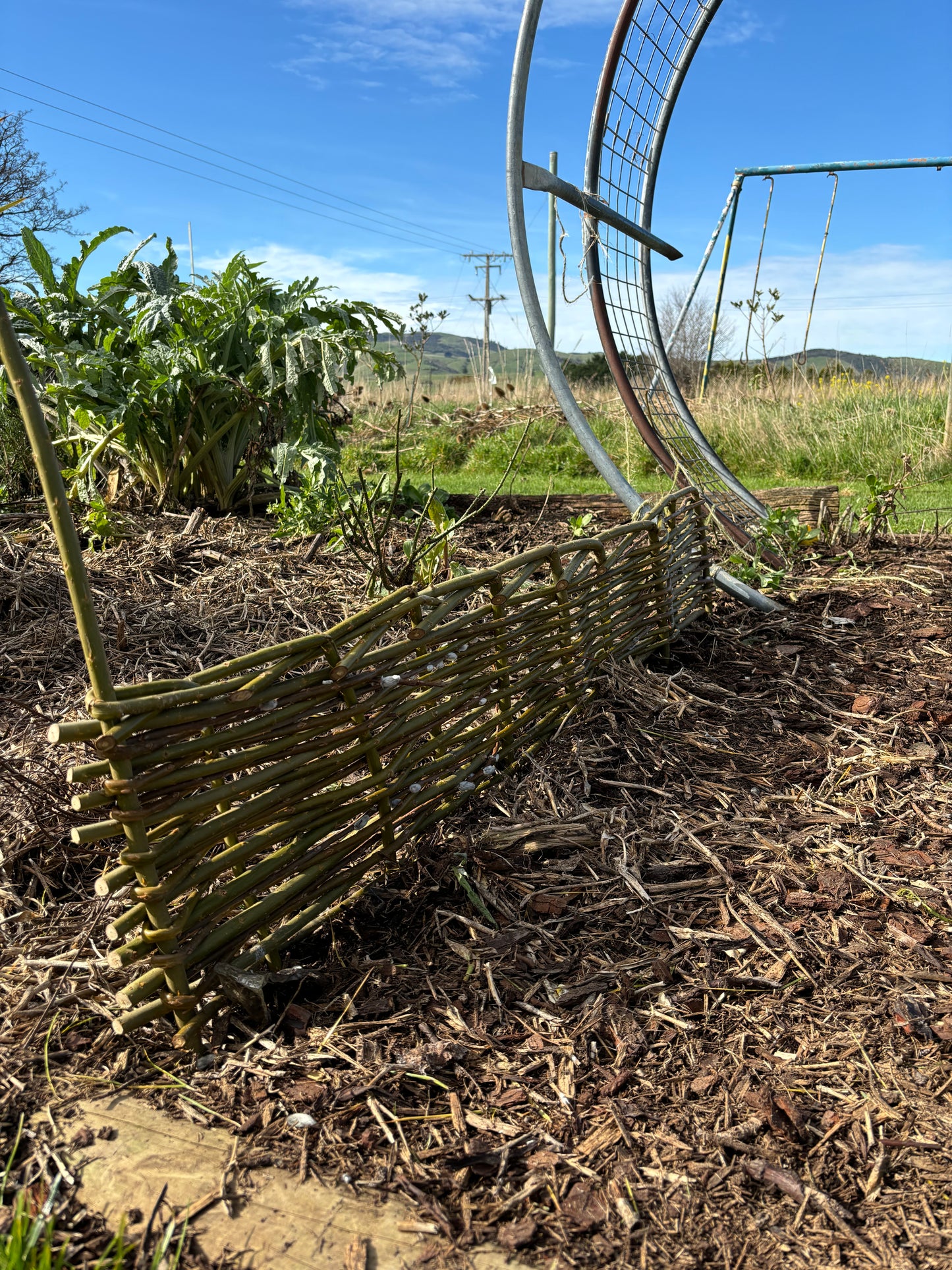 Willow Workshop: Willow Edging